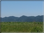 foto Colli Asolani